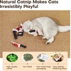 Potaroma 4Pcs Cat Toys, Horror Halloween Knife-Shaped Kitten Catnip Crinkly Sound Toys, Indoor Exercise for All Cat Breeds 6.5 Inches(6.5 Inches)