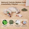 Potaroma Birds Cat Toys, 2 Pack Catnip Toys Soft Durable(White and Brown)
