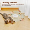 Potaroma Cat Toys Chargeable, 3in1 Hide and Seek, Interactive Fun(Minimalistic Bohemian)