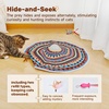 Potaroma Cat Toys Chargeable, 3in1 Hide and Seek, Interactive Fun(Vibrant Bohemian)