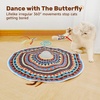 Potaroma Cat Toys Chargeable, 3in1 Hide and Seek, Interactive Fun(Vibrant Bohemian)